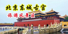 黄黄的污污的黄片搞基视频免费看中国北京-东城古宫旅游风景区